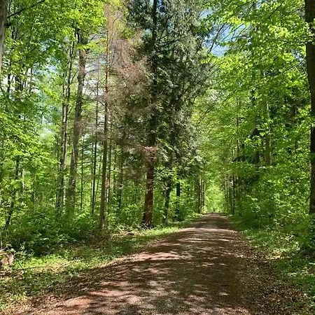 Flexible, Schoene Und Gut Aussehende Feriensuite Reutlingen Zewnętrze zdjęcie